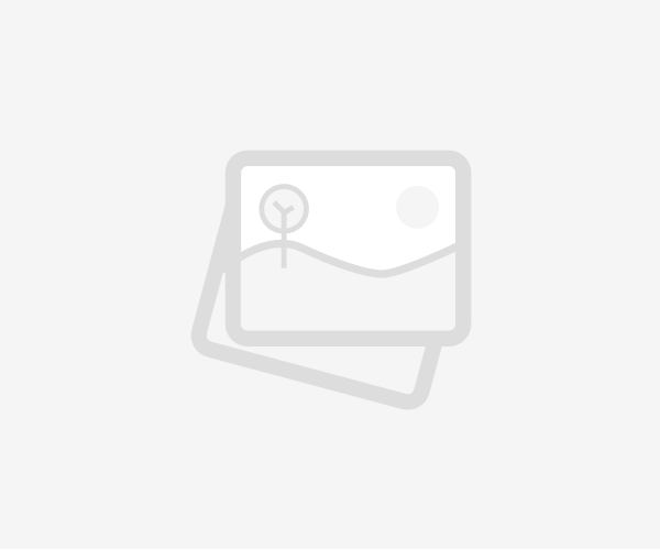 ALESIA CONSEIL Immobilier